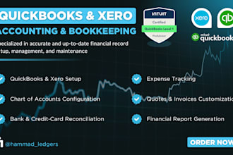 do xero and quickbooks bookkeeping, invoicing, reconciliation and cleanup