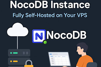 set up a self hosted nocodb instance on your vps