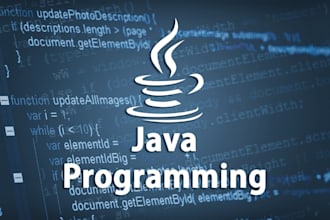 be your java programmer for java programming