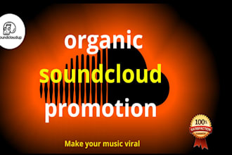 do professional soundcloud promotion for music track