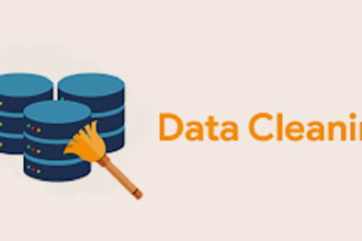 do data cleaning and data analysis