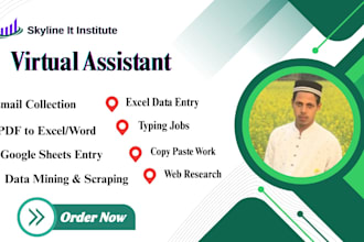professional data entry work