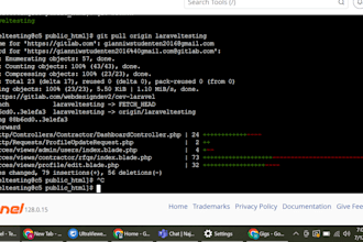 develop or fix laravel PHP applications with clean code