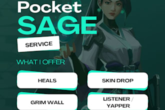 be your pocket sage or duo in valorant