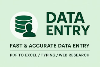 do excel data entry, formatting, and clean up