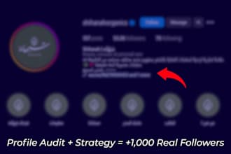 optimize your instagram for credibility and growth