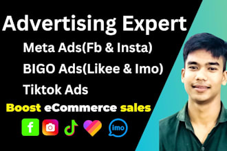 run shopify dropshipping ads facebook ads instagram ads and tiktok ads campaign