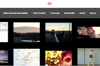 manually test website for functionality, UI UX and usability