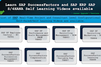 provide sap successfactors consultant level training