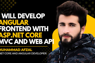 develop angular frontend with asp net core mvc and rest API