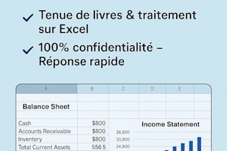 do professional data entry and bookkeeping