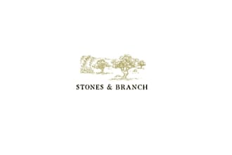 design premium olive oil logo