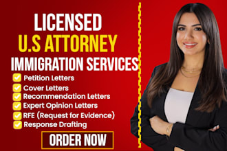 write immigration petition letters, eb2 niw, online immigration attorney