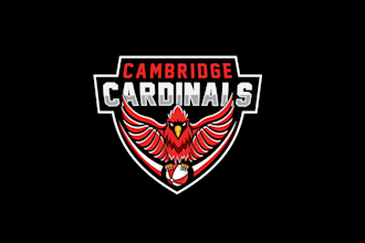 design cambridge cardinals beach ball team logo