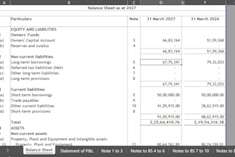 do accounting and bookkeeping , financial reporting