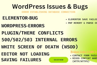 fix wordpress critical errors and elementor issues 24h urgent wp rescue