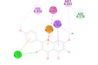 analyze molecular interactions via docking, MD, and dft