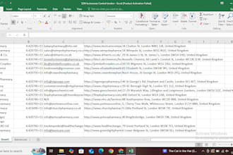fastest excel data entry, web research, excel, copy paste