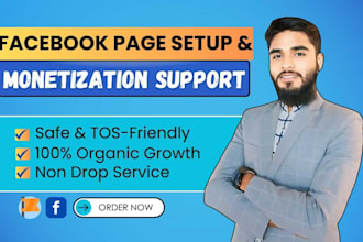 professionally set up and grow your facebook business page