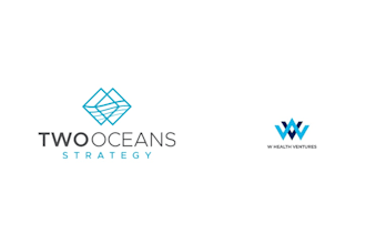 make a modern brandmark, wordmark, lettermark, business logo design
