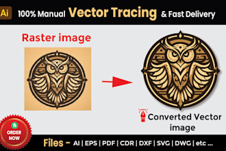 do vector tracing or convert to vector quickly