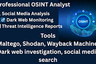be your osint analyst, digital footprint, background check and deep web expert