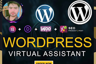 be your dedicated fast wordpress virtual assistant or wp va