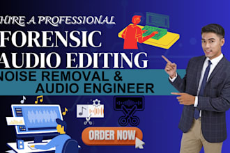 audio and video forensic editing, background removal, cleanup, sound repair