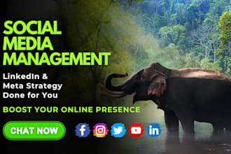 be a social media manager and content creator for fb, ig, x, and linkedin page