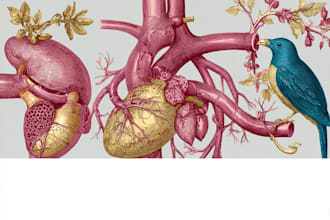 create medical illustrations for you