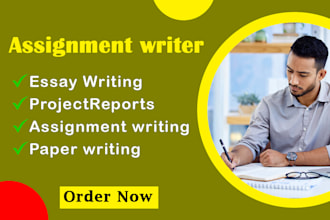 do assignment work of college and university for you