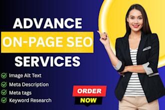 provide complete on page monthly seo service