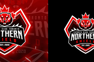 do custom mascot sports logo design