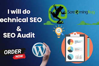 fix technical SEO, fast speed, add schema and solve index coverage issues