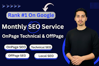 offer aeo geo local seo services onpage technical and offpage optimization