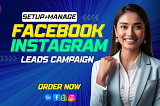 set up and manage high converting fb and ig lead gen ads