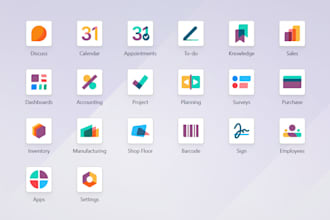 implement odoo system as an odoo partner for accounting, inventory etc