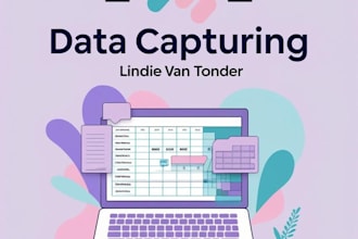 do data capturing, entry, and spreadsheet formatting