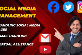be your social media manger and virtual assistant