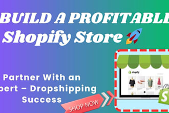 be your partner in building a profitable shopify dropshipping store