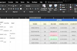 do data formatting or excel data cleaning and formatting