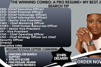 write a professional c suite executive resume