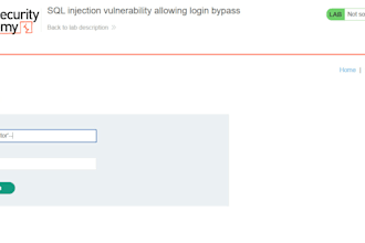 perform website vulnerability and penetration testing