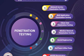 professional website vulnerability assessment and security report