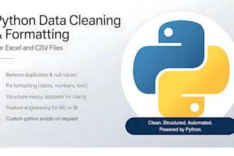 clean and engineer your dataset for business insights or ml using python
