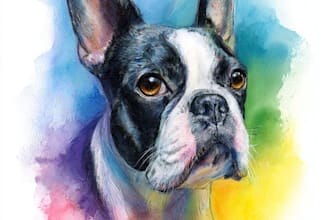 draw a rainbow watercolor portrait of your pet