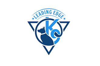 make pop looking stylish dog training business logo