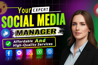 setup, manage facebook, instagram ads with strategy, content