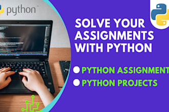do your python projects