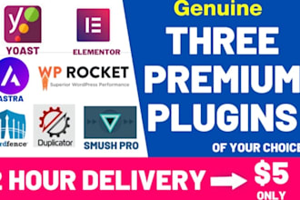 install premium themes and plugins within 1 hour
